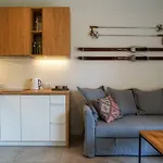 Apartment Vip Mountain Nosal *
