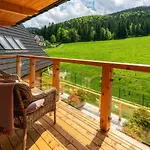 Apartment Vip Mountain Nosal *